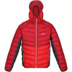 Budget ⭐ Textile Doudoune Regatta Harrock Rouge 🌟